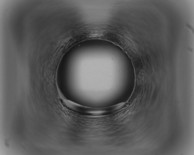 X0000091451441200708231245