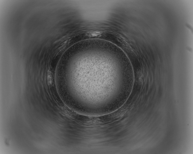 X0000091451442200708231245