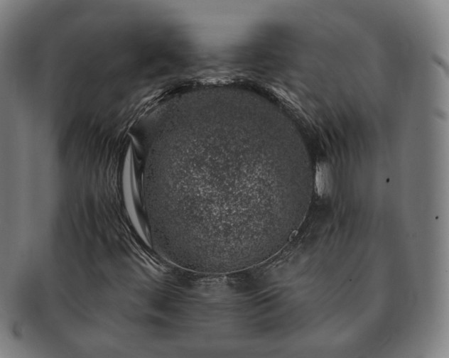X0000091451444200708231245