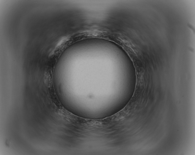 X0000091451446200708231245