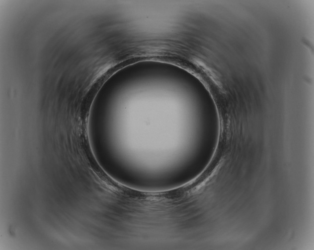 X0000091451449200708231245