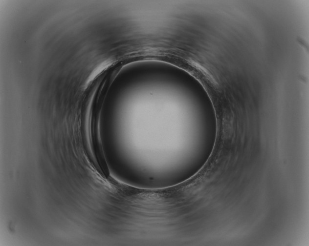 X0000091451450200708231244