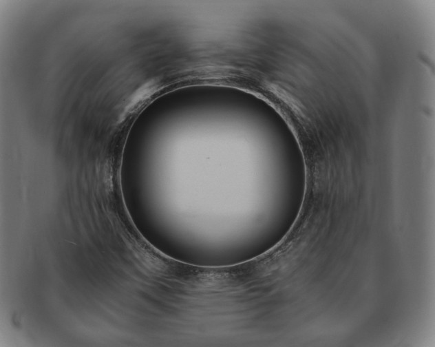 X0000091451451200708231244