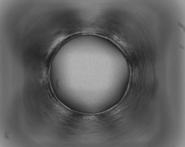X0000091451454200708231244