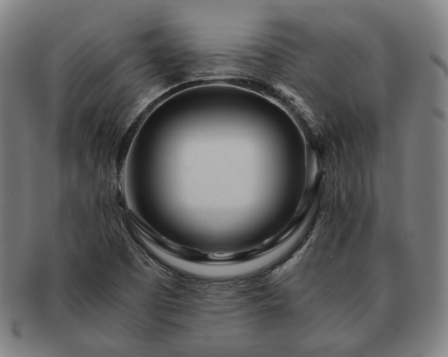 X0000091451457200708231244