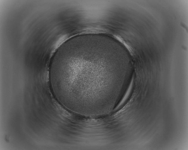 X0000091451459200708231244