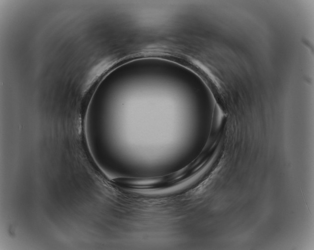 X0000091451461200708231244