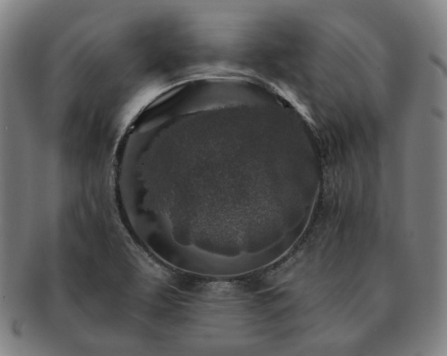 X0000091451463200708231244