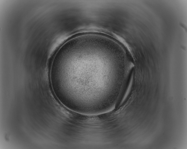 X0000091451464200708231244