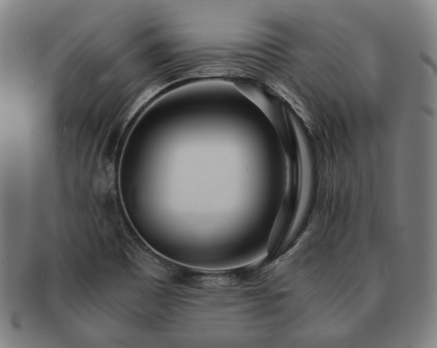 X0000091451465200708231244