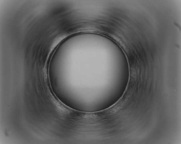 X0000091451466200708231244
