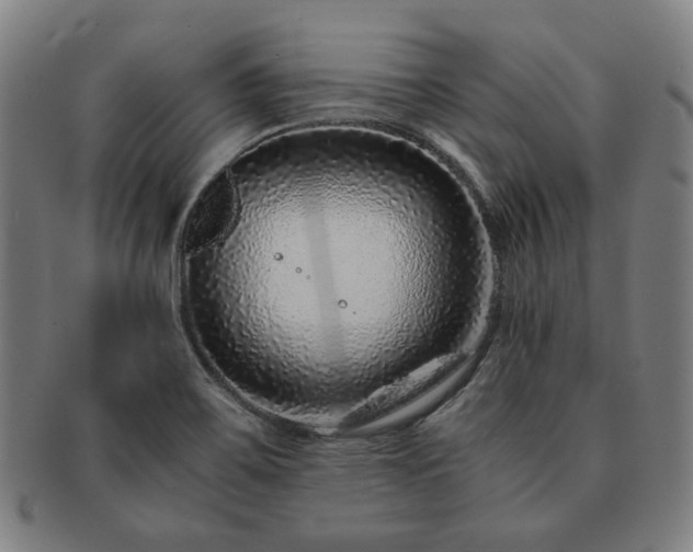 X0000091451467200708231244