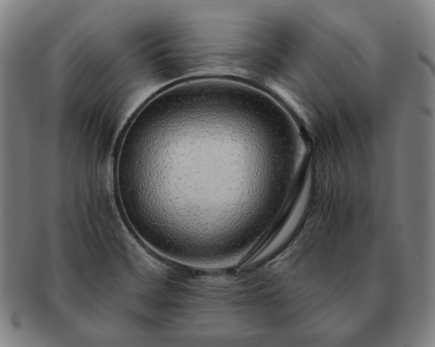 X0000091451468200708231244