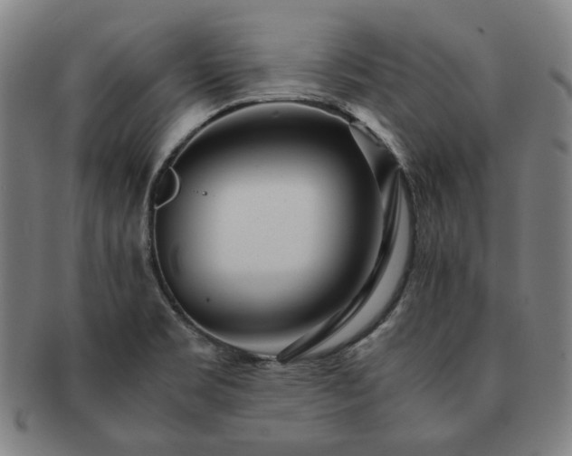 X0000091451469200708231244