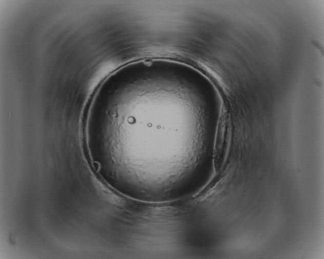X0000091451471200708231244