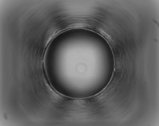 X0000091451473200708231244