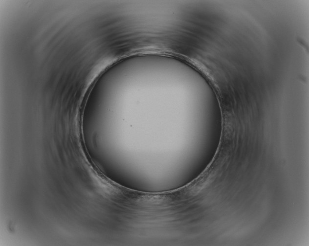 X0000091451474200708231244