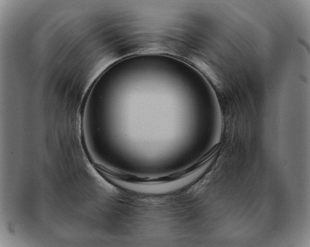 X0000091451476200708231244