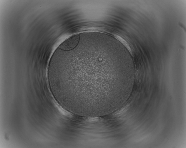 X0000091451482200708231244
