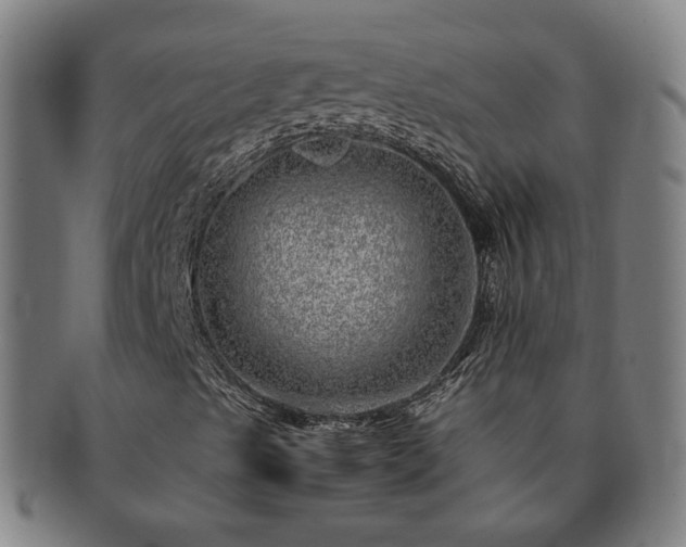 X0000091451489200708231243