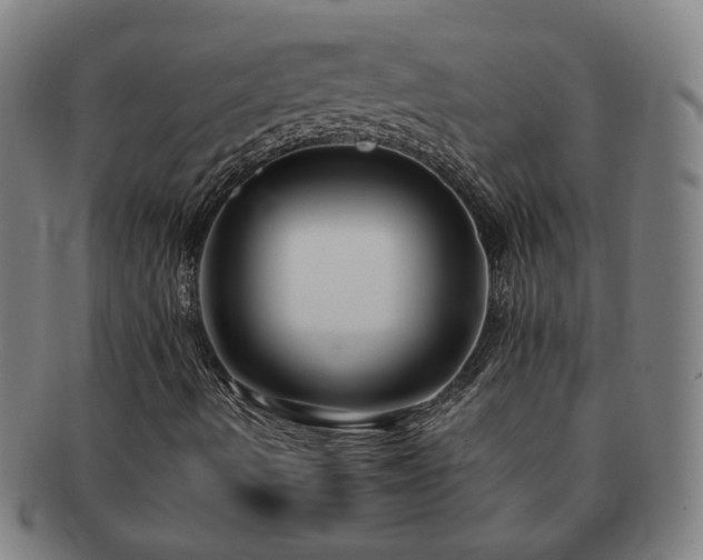 X0000091451490200708231243