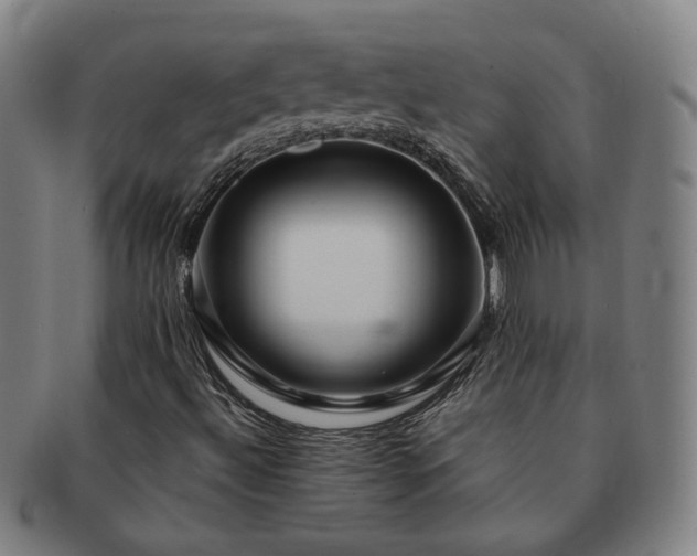 X0000091451492200708231243