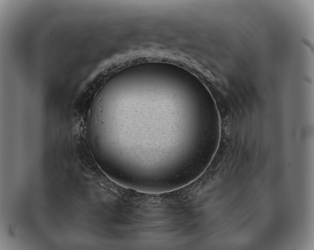 X0000091451495200708231243