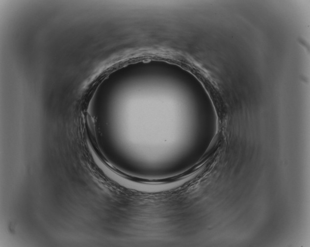 X0000091451496200708231243
