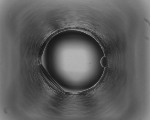 X0000091451497200708231243