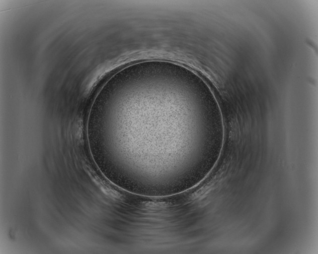 X0000091451499200708231243