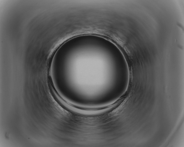 X0000091451500200708231243
