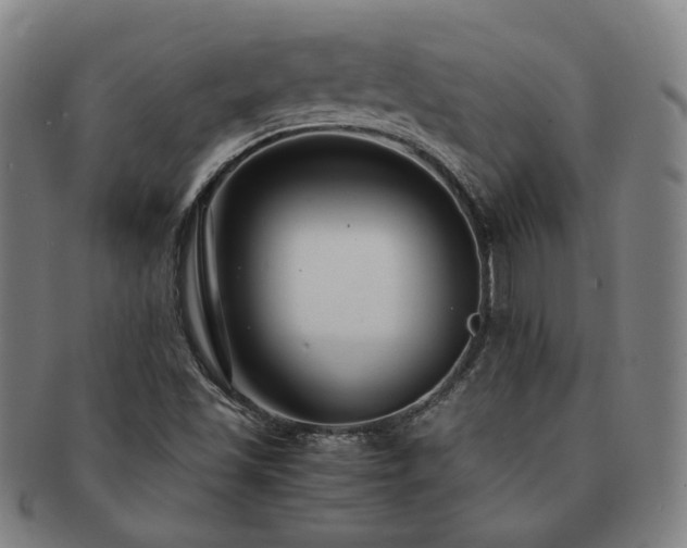 X0000091451501200708231243