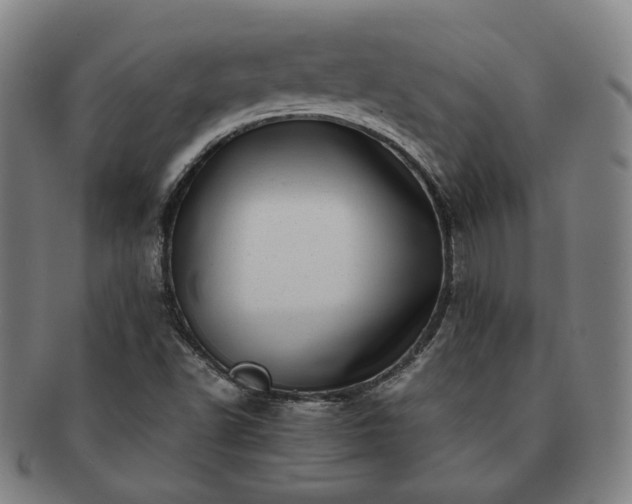 X0000091451502200708231243