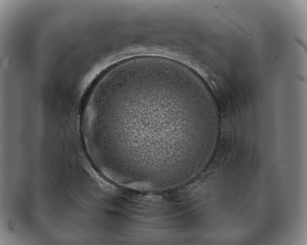 X0000091451503200708231244