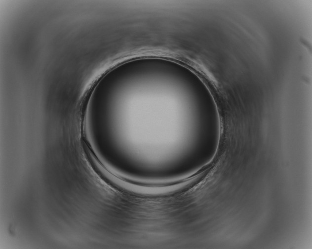 X0000091451504200708231244