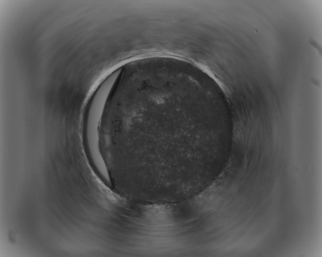 X0000091451508200708231244