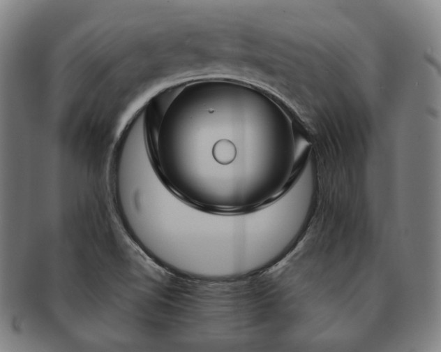 X0000091451510200708231244