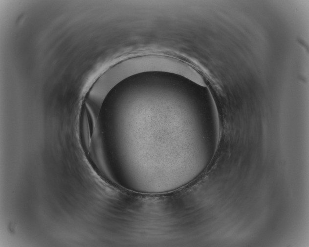 X0000091451512200708231244