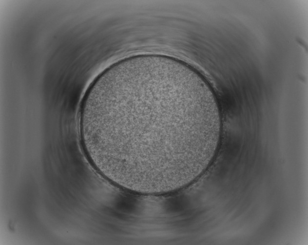 X0000091451514200708231244