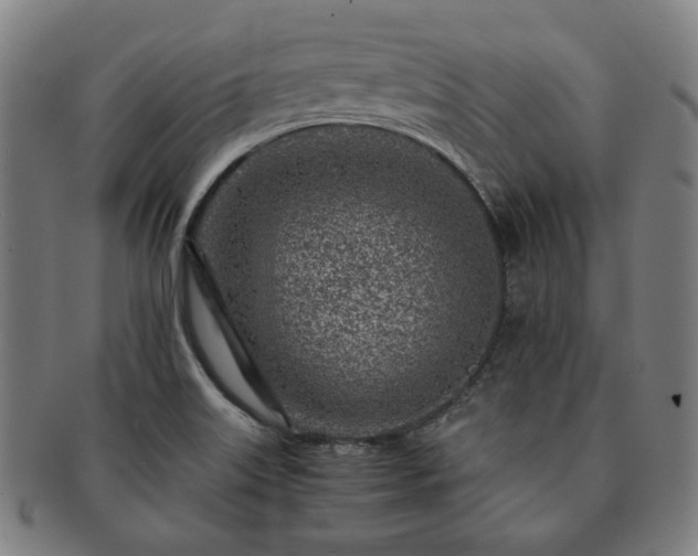 X0000091451515200708231244