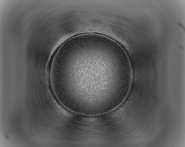 X0000091451517200708231244