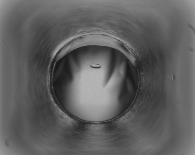 X0000091451518200708231244