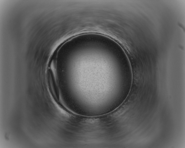 X0000091451519200708231244