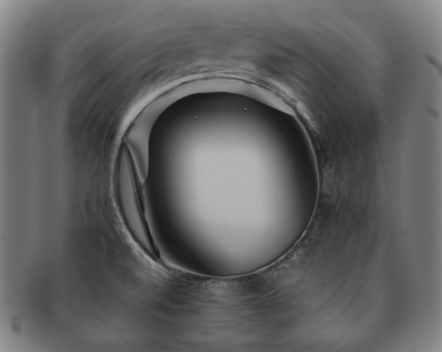 X0000091451520200708231244