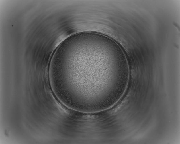 X0000091451521200708231244