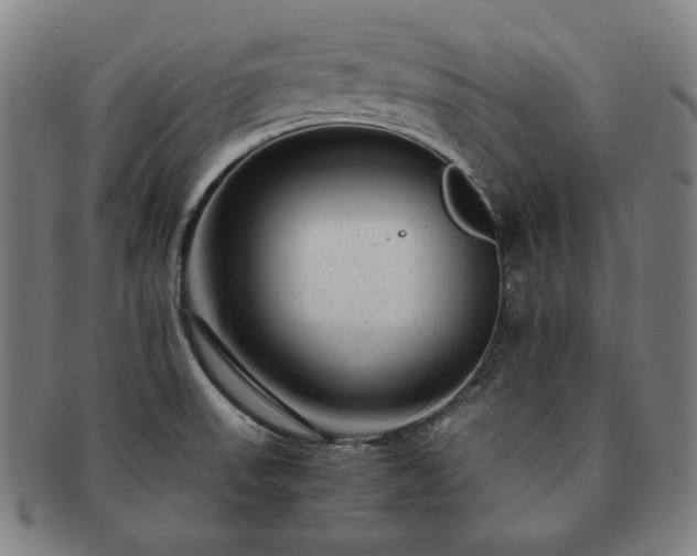 X0000091451523200708231244