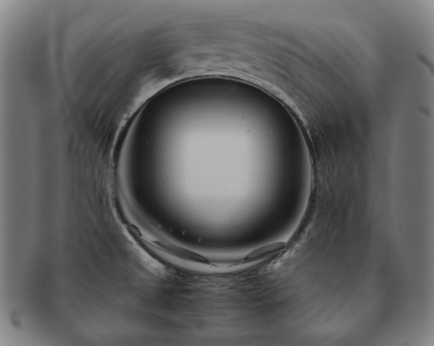 X0000091451525200708231244