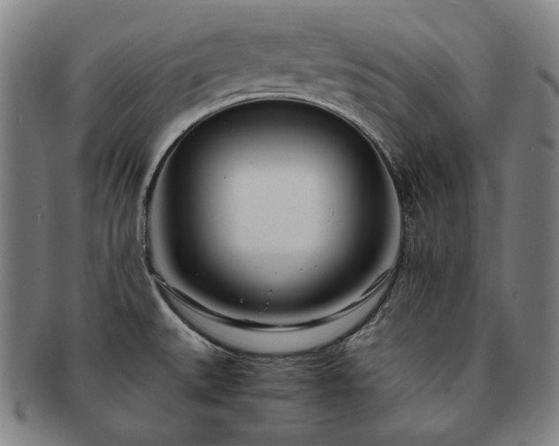 X0000091451527200708231244