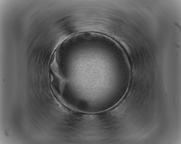 X0000091451529200708231244
