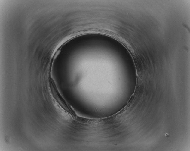 X0000091451530200708231244